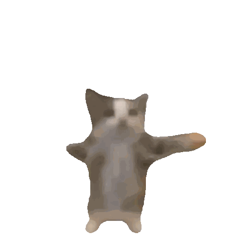 Brown and White Cat Floating