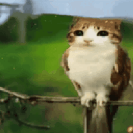 Brown and White Cat Sitting on Fence Post