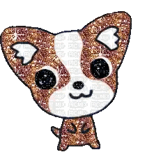 Brown and White Chihuahua with Wings and Mustache