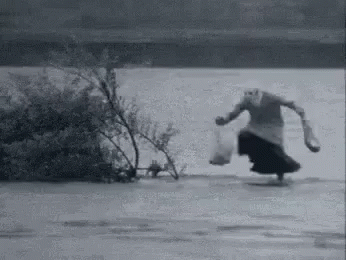 Brown And White Cow Saying Cow Out GIF