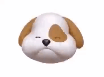 Brown And White Dog Making Funny Face GIF