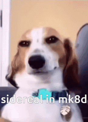 Brown and White Dog Sitting on Couch Sidereal in MK8D