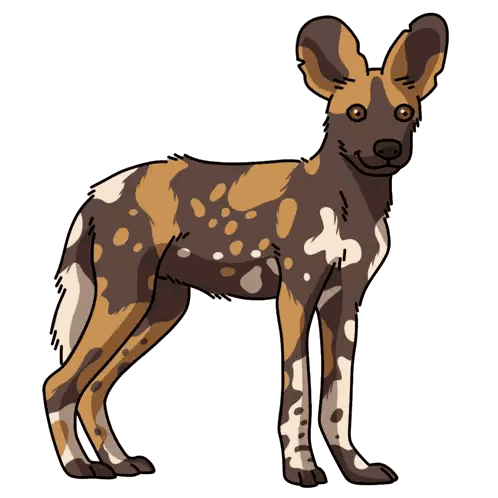 Brown and White Dog Standing