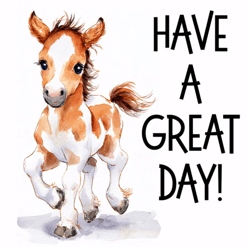 Brown and White Foal Have a Great Day