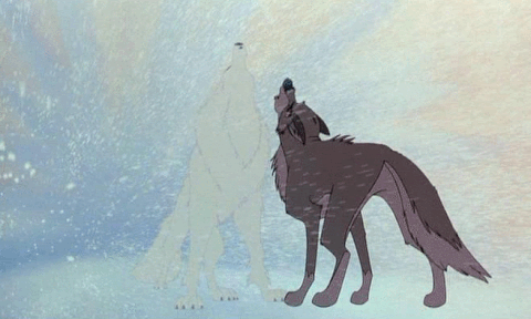 Brown And White Wolf Howl GIF