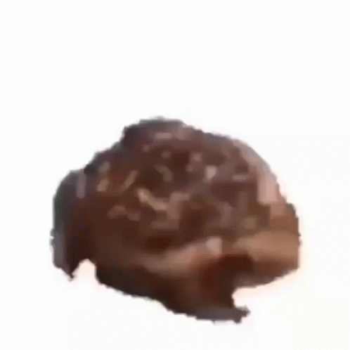 Brown Animal Head