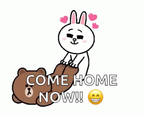 Brown Bear and White Rabbit Come Home Now