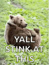 Brown Bear Holding Baby Bear Yall Stink At This