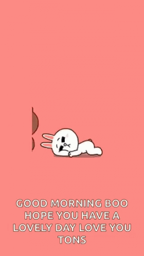 Brown Bear Hugging White Rabbit GIF