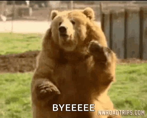 Brown Bear Saying Bye