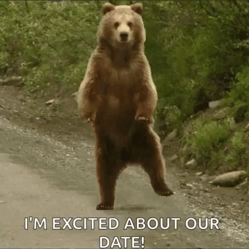 Brown Bear Standing Hind Legs I'm Excited About Our Date