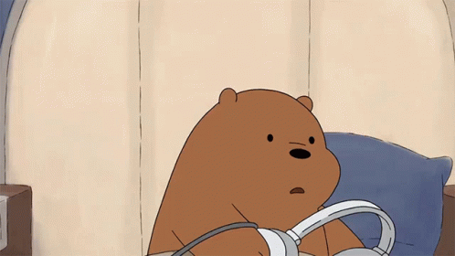 Brown Bear Wears Headphones GIF