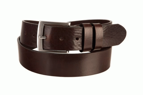 Brown Belt With Silver Buckle GIF