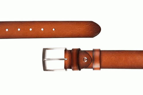 Brown Belt With Silver Buckle GIF