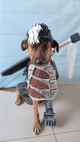 Brown Dog in Costume With Sword and Armor