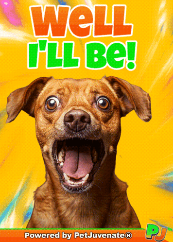 Brown Dog with Mouth Open and Well I'll Be