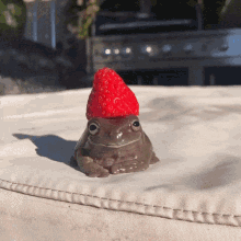 Brown Frog With Strawberry Hat GIF
