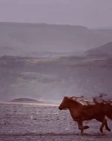 Brown Horse To White Unicorn Transformation GIF