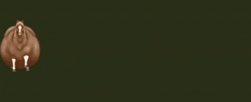 Brown Horse With White Legs Standing on Green Background