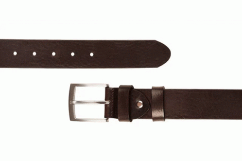 Brown Leather Belt With Silver Buckle GIF