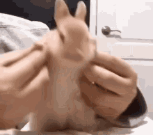 Brown Little Bunny Dancing GIF