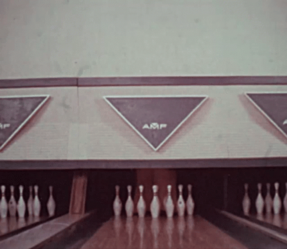 Brown Mascot Come Out In Bowling Alley GIF