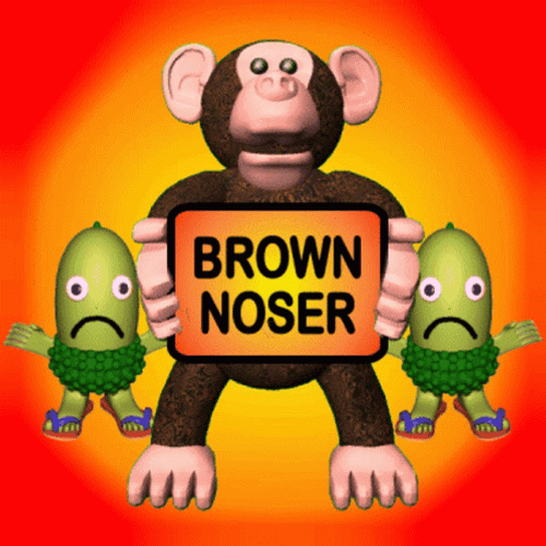 Brown Noser 498 X 498 Gif GIF