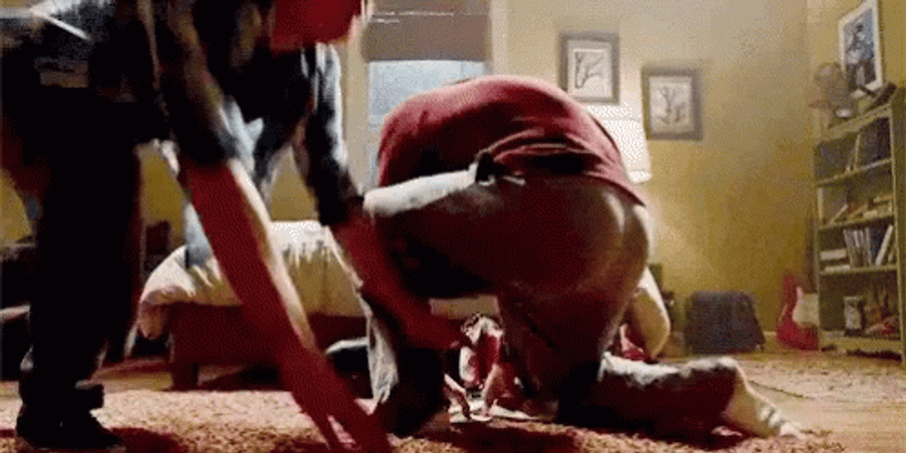 Brown Noser Alpha Dog GIF