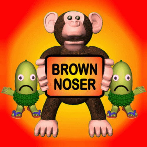 Brown Noser Monkey With The Virus GIF