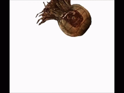 Brown Object With Hole and Branches
