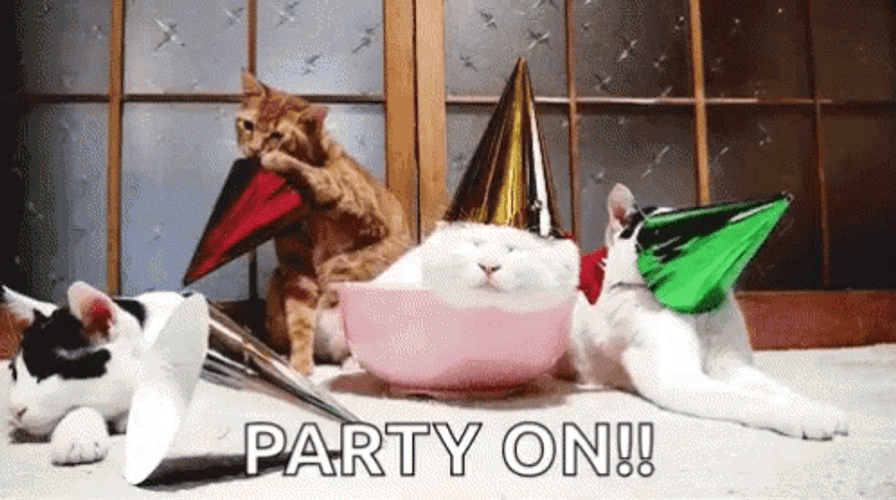 Brown Party Cat Celebration GIF
