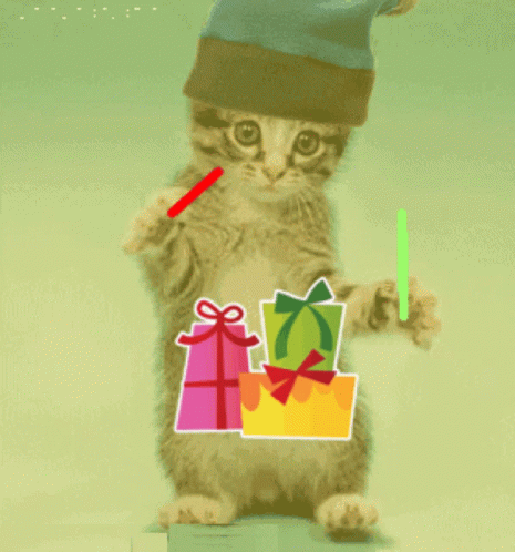 Brown Party Cat Festive Gifts GIF