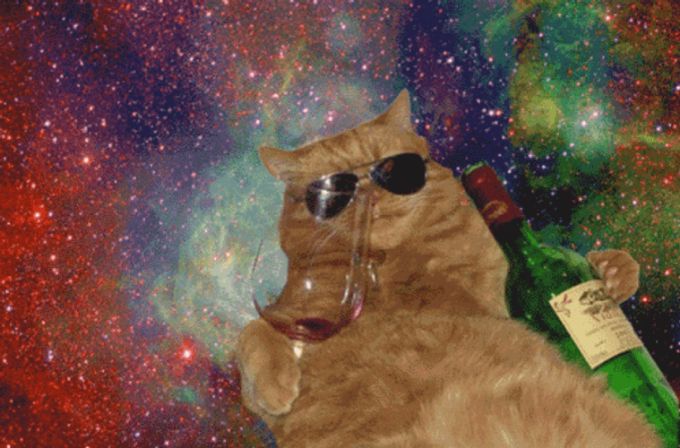 Brown Party Cat In Space GIF