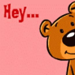 Brown Teddy Bear Close Up Pink Background