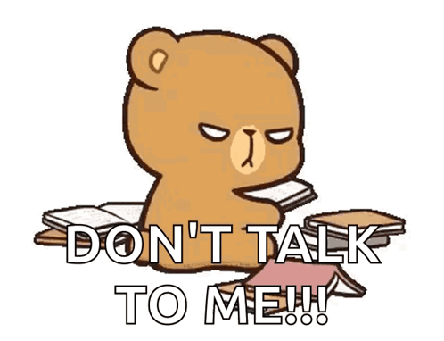 Brown Teddy Bear Reading Book Saying Don't Talk to Me