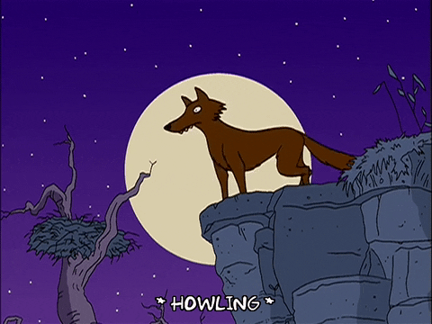 Brown Wolf Full Moon Howl GIF