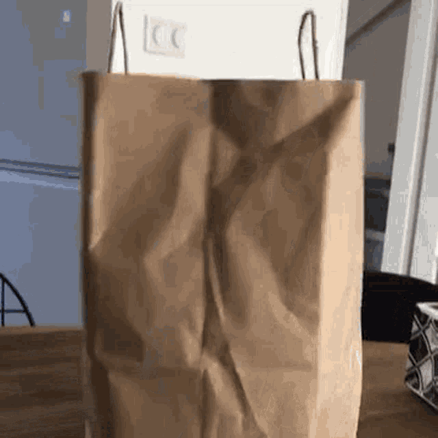 Brownbag Gif GIF
