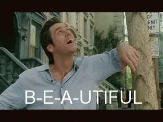 Beautiful Bruce Almighty GIF