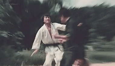 Bruce Lee Fast Kick GIF