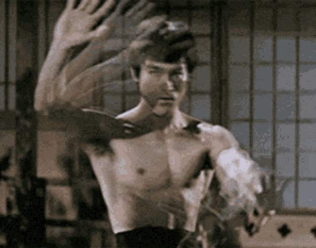 Bruce Lee Karate Stance GIF