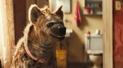 Bruce The Hyena GIF