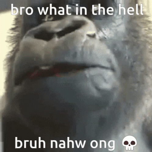 Bruh Meme Gorilla Omg What The Hell GIF