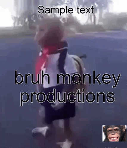 Bruh Monkey Productions Monkey