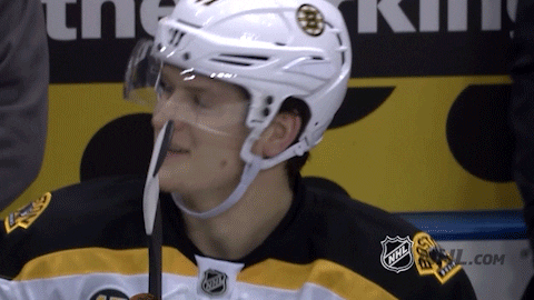 Bruins Sport Hockey Game GIF