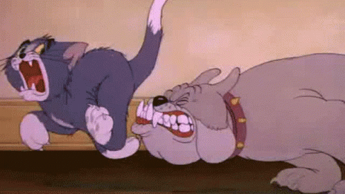 Bruno Dog Chase Tom Cat GIF