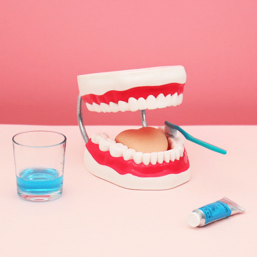 Brushing Teeth Educational Dental Animation GIF
