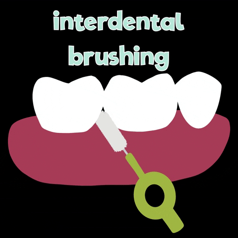 Brushing Teeth Interdental Animation Loop GIF