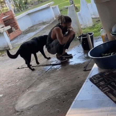 Brushing Teeth Outdoor Squat Dog Faucet GIF