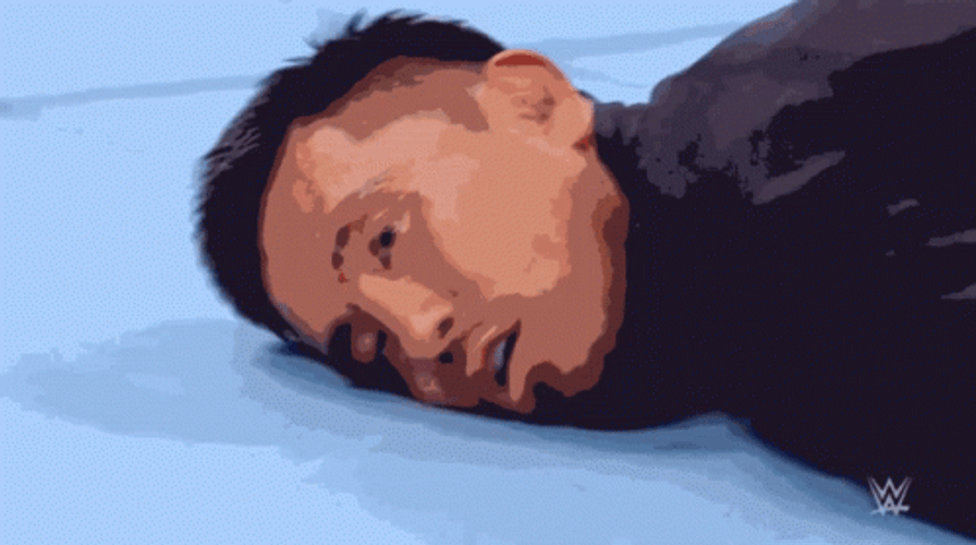 Brutal Knockout Groggy Wrestler GIF