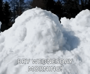 Bry Winter Wednesday Morning GIF